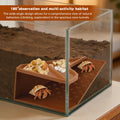 Hermit Crab Cave Habitat with Climbing Tunnel, 2-in-1 Cave Shelter & Feeding Dish, Textured Climbing Ramp & Viewing Wind