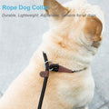 MayPaw Slip Collar Nylon Rope Adjustable Collar for Dog Training- No Pull Round Martingale Dog Collars for Small Medium 