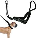 Sporn Head Halter for Dogs, No Pull Dog Harness, Durable Nylon Training Collar for Large Breeds, No Choke Design, Padded