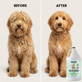 We Love Doodles Dog Detangler Spray Half Gallon - Leave-in Conditioner for Dogs - Dog Detangling Spray - Dematting Spray for Dogs - Tangle Remover - Made in The USA (Lavender)