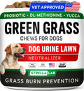 STRELLALAB Dog Pee Grass Chews - Urine Neutralizer for Green Grass Burn Spots - Grass Treatment for Pet Urine - Green Lawn Chews for Dogs with Probiotics - Made in USA (120Ct)