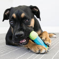 KONG CoreStrength Bone, Multi-Layered Dental Toy, for Small/Medium Dogs