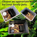 Critter Keeper 2-Pack, Cricket Cage & Reptile Feeding Box 12.59"x8.66"x5.9" Transparent Portable Plastic Snake Habitat E