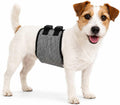 Belly Bands for Male Dogs, Washable Diapers with Buckles