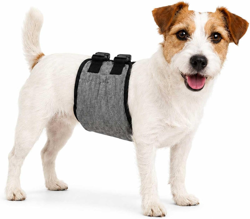 Belly Bands for Male Dogs, Washable Diapers with Buckles