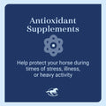 SmartEquine Smart & Simple Vitamin E Pellets, 3.7 lb, 112 Servings