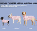 Recovery Suit for Dogs, Female Spay, Dog Onesie, Cone Alternative