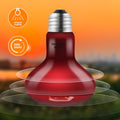 DXOPHIEX 2 Pack 100W Reptile Heat Lamp Reptile Heat Bulbs