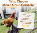 Manna Pro Ultimate Chicken Scratch Feed, Nutrient-Rich Scratch Grain Treat for Chickens and Poultry, Natural Multigrain Blend for Backyard Flocks and Laying Hens, Made in USA, 10 lb Bag