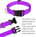 Goat Lead and Goat Collars Set Small Farm Animal Goat Sheep (Blue)