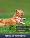 Reflective Dog Collar for Small Dogs with Silicone Tag Holder