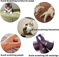 YMCCOOL 100pcs Cat Nail Caps/Tips Pet Cat Kitten Paws Covers Control Paws of 10 Nails Caps and 5Pcs Adhesive Glue 5 Applicator with Instruction