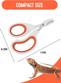 Stainless Steel Bearded Dragon Nail Clippers,Lizard Nail Clippers,Bearded Dragon Supplies,Bearded Dragon Nail Scissors f