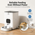 Automatic Cat Feeder with APP: 4L Dry Food Dispenser for Small Dogs & Cats