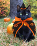 Halloween Cat Costume Cloak Witch Hat Pet Accessories Halloween Adjustable Pumpkin Pet Costumes Clothes Set, Halloween p