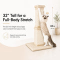 AGYM Cat Scratching Post for Large Cats, Cat Scratcher for Indoor Cats Adults, Sturdy Sisal Scratch Post to Protect Furniture, 32 Inch, Beige
