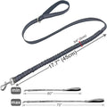 Mycicy Bungee Dog Leash- 5FT Shock Absorbing & Reflective Nylon Leash| Anti-Pull Training for Small/Medium Dogs | 2cm Wide, 6 Colors (Black)