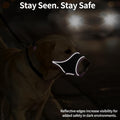 Mayerzon Soft Dog Muzzle for Large Dogs Malinois to Anti Biting Chewing