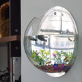 Wall Mounted Plant jar, can Hang Flower vases for wall Decoration, shatterproof Round Acrylic jar Bowl, Suitable for Hom
