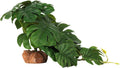 Fake Monstera Reptile Terrarium Plants for Ball Python Snake Gecko