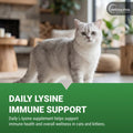 Vetoquinol Enisyl-F Oral Paste: L-Lysine Supplement for Cats - Tuna Flavor, 3.5oz (100mL) Pump