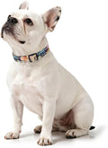 Martingale Dog Collar for Small Dogs, Reflective Puppy Collars, Mandala
