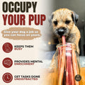 Bully Bunches Premium (6" Thick - 5 Pack) Odour-Free Bully Sticks for Small & Medium Dogs - Consistently Sized, Long Las