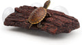 Turtle Basking Platform, Resin Bark‑Textured Turtle Dock with 3 Suction