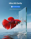 2.5 Gallon Nano Glass Fish Tank, Ultra-Clear Rimless Desktop Aquarium