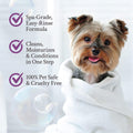 Ginger Lily Farms Dog & Pet Formula 2-in-1 Shampoo & Conditioner, 100% Vegan & Cruelty-Free, Coco Mango, 1 Gallon Refill (128 fl oz)