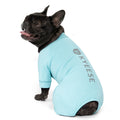 KYEESE UV Protection Dog Shirt, UPF 50+ Cooling Summer Jumpsuit for Small Dogs, Breathable Reflective Shedding Control Dog Sun Shirts, Quick-Dry Dogs Onesie Pet Clothes, Blue, M