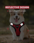 FAYOGOO Service Dog Vest for Small Dogs - Lightweight Dog Harness with 6PCS Removable Patches - Puppy Harness and Leash Set for Walking,Training