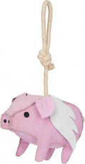 Flying Pig