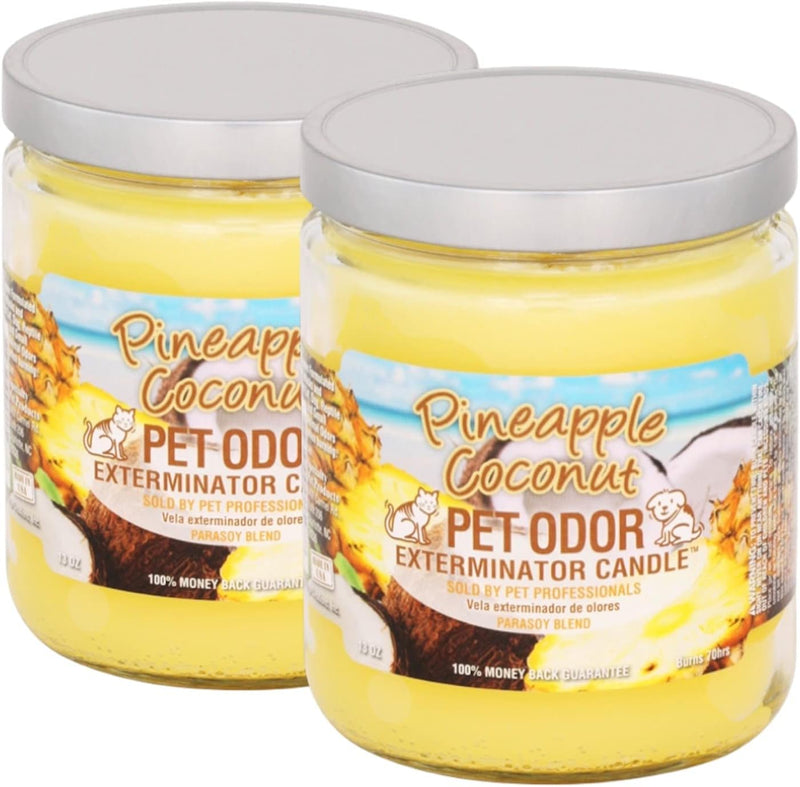 Pet Odor Exterminator Candle, Pineapple & Coconut - Pack of 2