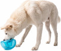 Outward Hound Snoop Interactive Treat Dispensing Dog Toy, Blue, 5"