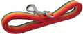 TAIAN 4FT/5FT/6FT Strong Dog Leash, Nylon Dog Leashes for Small Medium Large Dogs (Rainbow, 1 in x 10 ft)