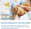 PurrVita Taurine for Cats, Pure Taurine Supplement for Cats Powder, Grade Amino Acid Supplement for Heart, Vision & Dail