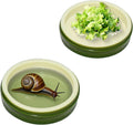 2 Pack Snail Water and Food Bowl，atural Design Food Bowl for Pet Snails, Garden Snails Pet Land Snail Terrarium Supplies