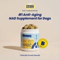 Boops Pets NAD+ Precursor & Senior Dog Supplement - 90 Soft Chews - NMN Alternative for Longevity & Healthy Aging - Nicotinamide Riboside, Resveratrol, Quercetin, Made with Pasture-Raised Chicken