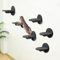 Cat Wall Shelves Furniture Set of 6, Wooden Cat Steps for with Scratching Pad, Sturdy Floating Climber Ladder Stairs, Ca
