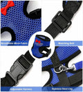 Adjustable Chicken Harness and Leash, Breathable Mesh Hen Vest for Rooster