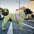 Waterproof Dog Raincoat, Clear Hood, Leash Hole
