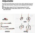 pidan Cat Harness and Leash Set, Escape Proof Adjustable Kitten Harness for Large Small Cats, Easy Use, Lightweight Soft