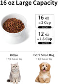 ABRUTY Cat Water Bowl, 16 OZ Ceramic Elevated Cat Bowls, 15° Tilted and Raised Pet Food Dish, Anti Vomiting Protect Pets' Spines and Whisker Fatigue