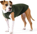 Goldpaw Stretch Fleece Dog Sweater, Hunter Green, Size 14