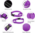 PLUTUS PET Reflective Martingale Collar with Quick Snap Buckle,No Pull Dog Choker Collar for Small Medium Large Dogs,S