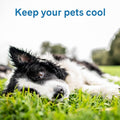 The Green Pet Shop Cool Pet Pad - Medium, Sage Grey - Self-Cooling, Pressure Activated Mat for Dogs & Cats from 21-45 lb