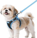 rabbitgoo Dog Harness Small Sized and Leash Set, Step in Soft Vest