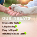 A Freschi srl Turkey Tendons for Dogs, Long-Lasting, Hypoallergenic Rawhide Alternative, Human Grade, Healthy Puppy Chews, Natural Dog Treats for Medium Dogs, Rope (M), 2 Count Pack
