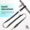 The Buddy System - Hands Free Dog Leash - Small Dog, Large Belt